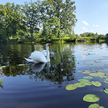 Sikorqa Nad Jeziorem Holiday home Skrzeszew